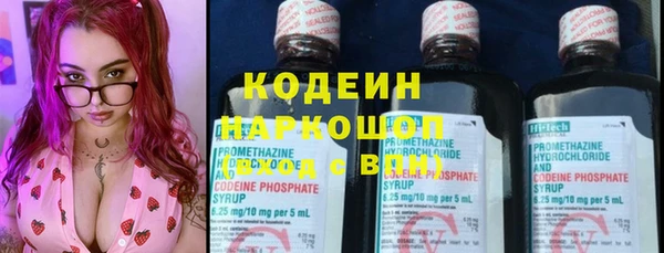 сатива Абаза