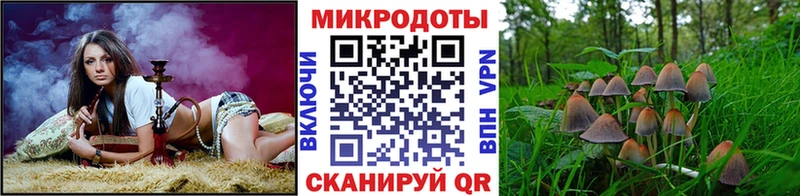 где найти наркотики  Темников  kraken маркетплейс  Галлюциногенные грибы мицелий 