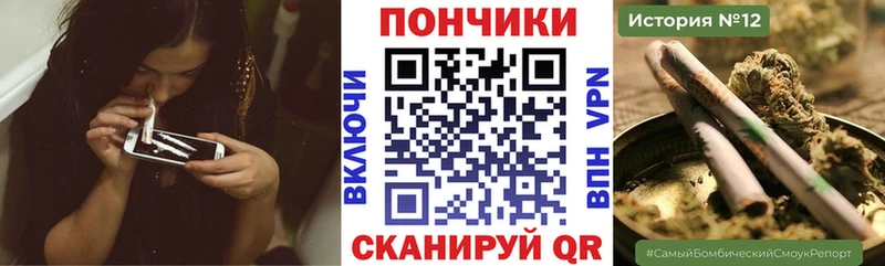 Бошки Шишки индика  купить наркоту  Темников 